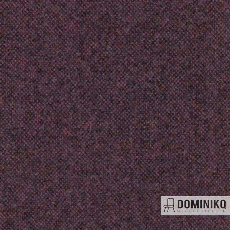 Aristide - Qashqai - 570 AmeThyst