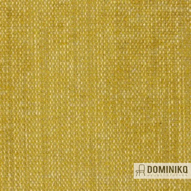 Aristide - Robin - 340 Honig
