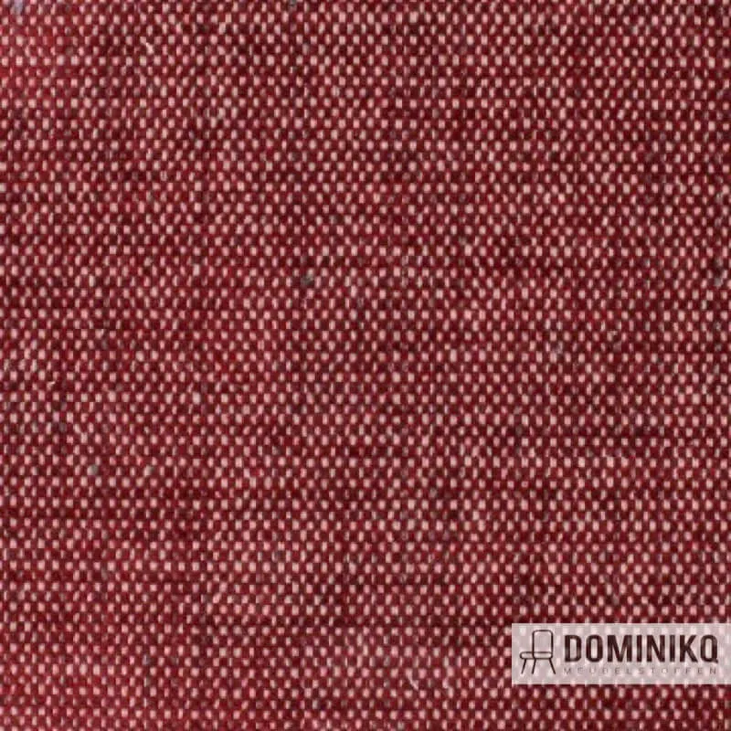 Aristide - Robin - 545 Ruby