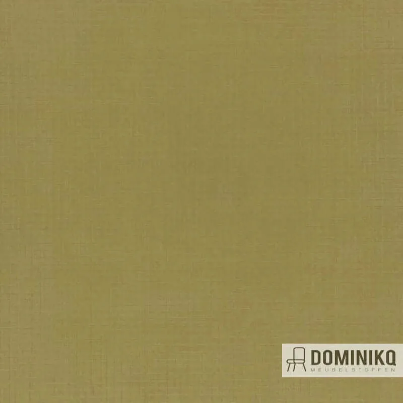 Aristide - Silkor - 335 Brass