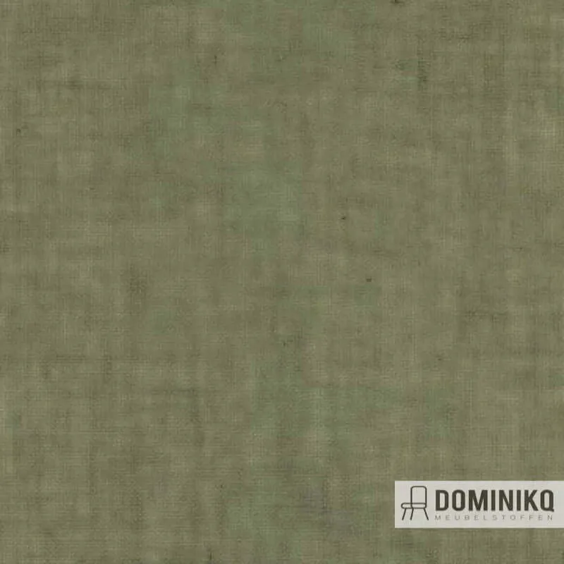 Aristide - Sirin - 765 Olive