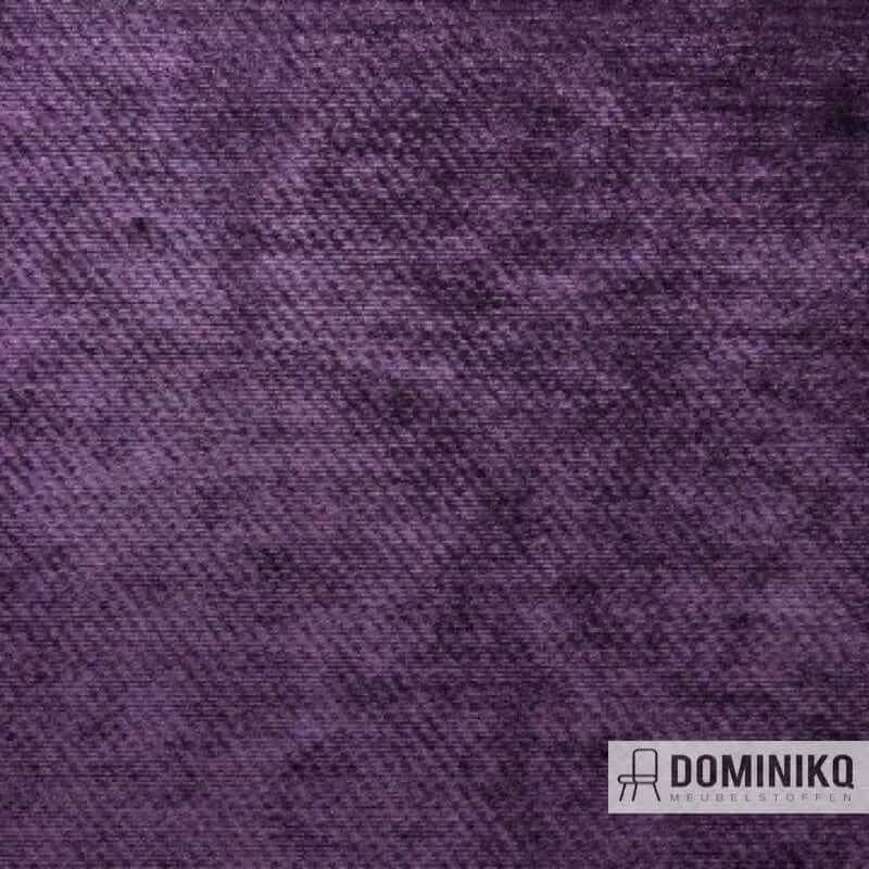 Aristide - Troy -35 AmeThyst