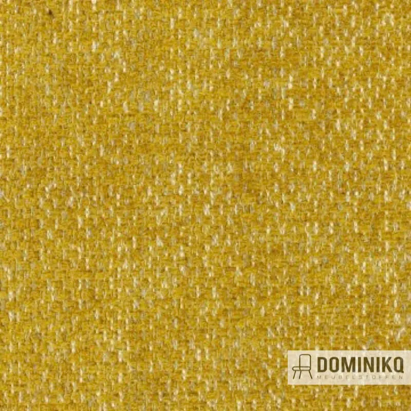 Aristide - William -340 Honey