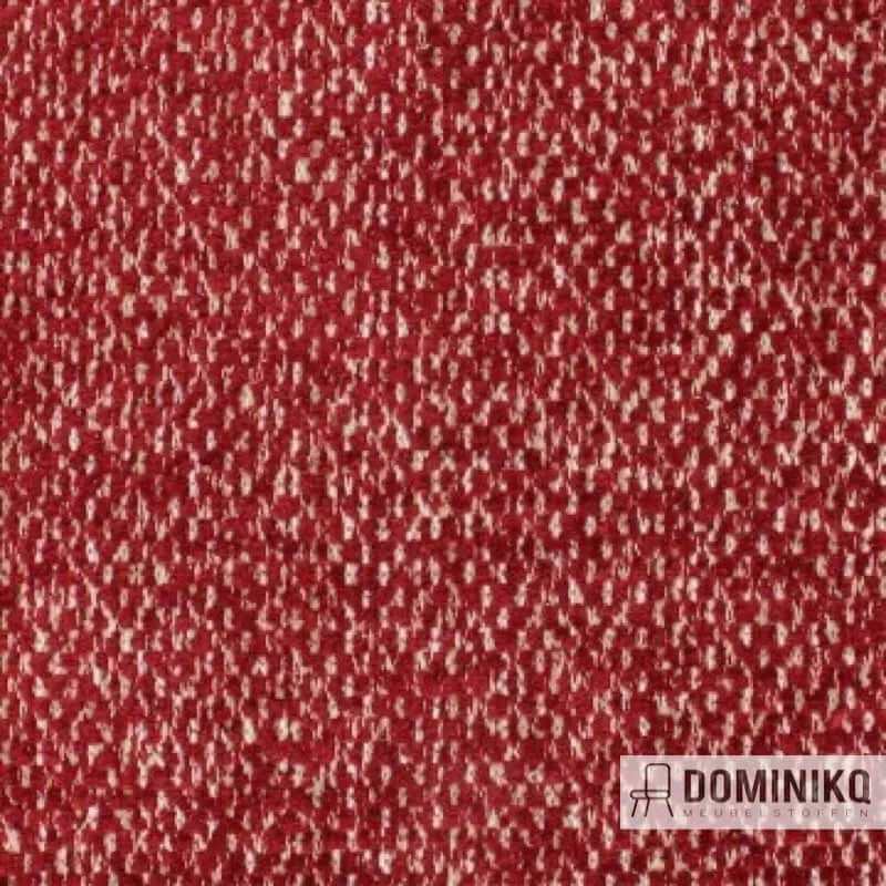 Aristide - William - 545 Ruby
