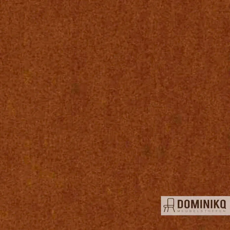 Aristide - Angora - 350 Ocher
