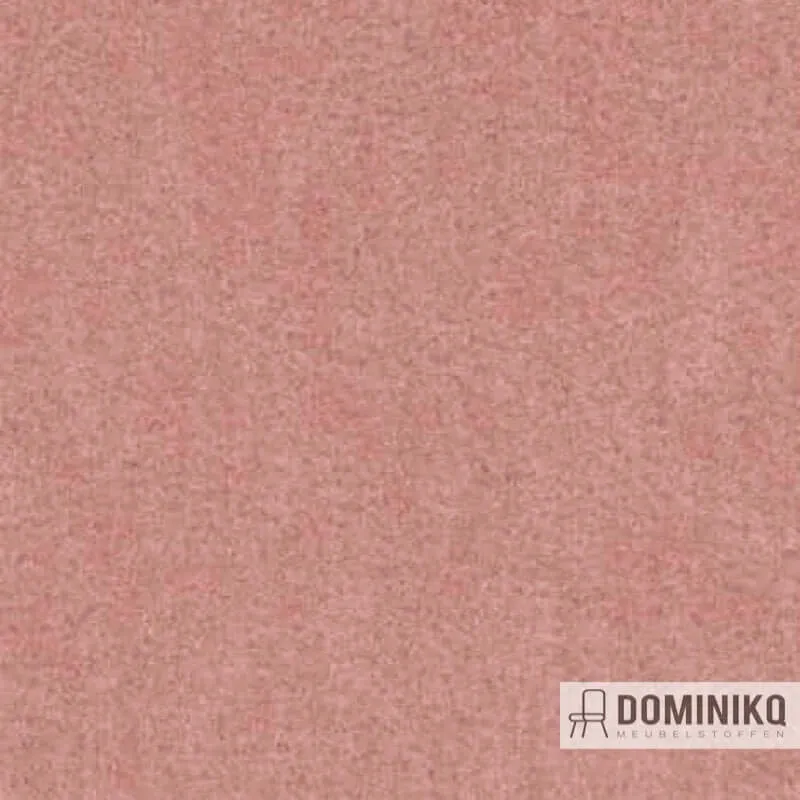 Aristide - Angora - 500 Rosenstaub