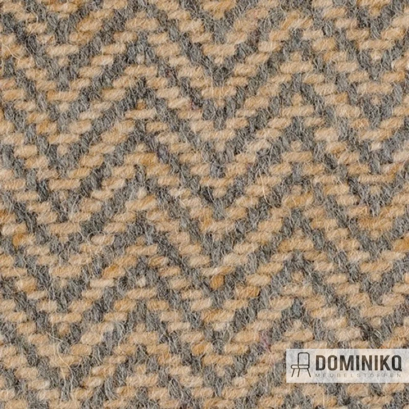 Bute Fabrics - Lewis CF840 - 0112 Eagle*