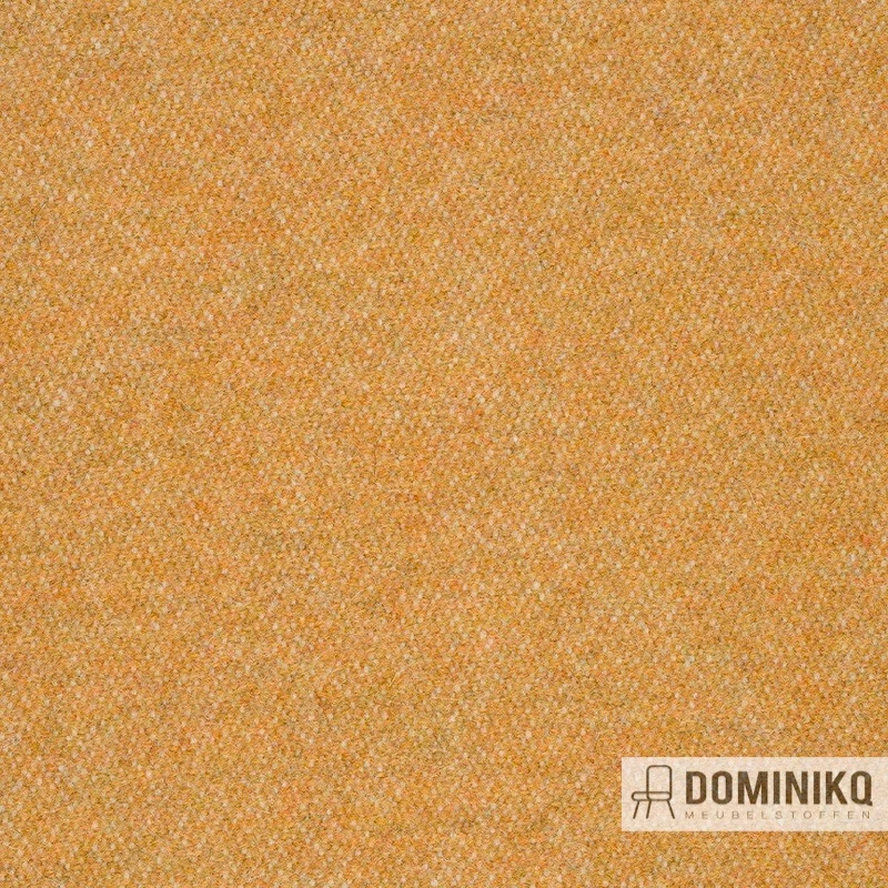 Bute Fabrics - Magic CF1105 - 0315 Verhext*