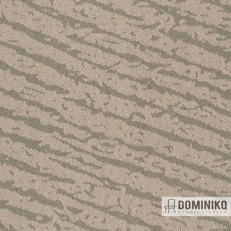 Bute Fabrics - Mason CF1117 - 0504 Joppa