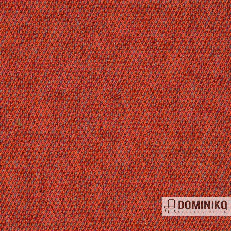 Bute Fabrics - Mercury CF1053 - 1211 Rhapsody