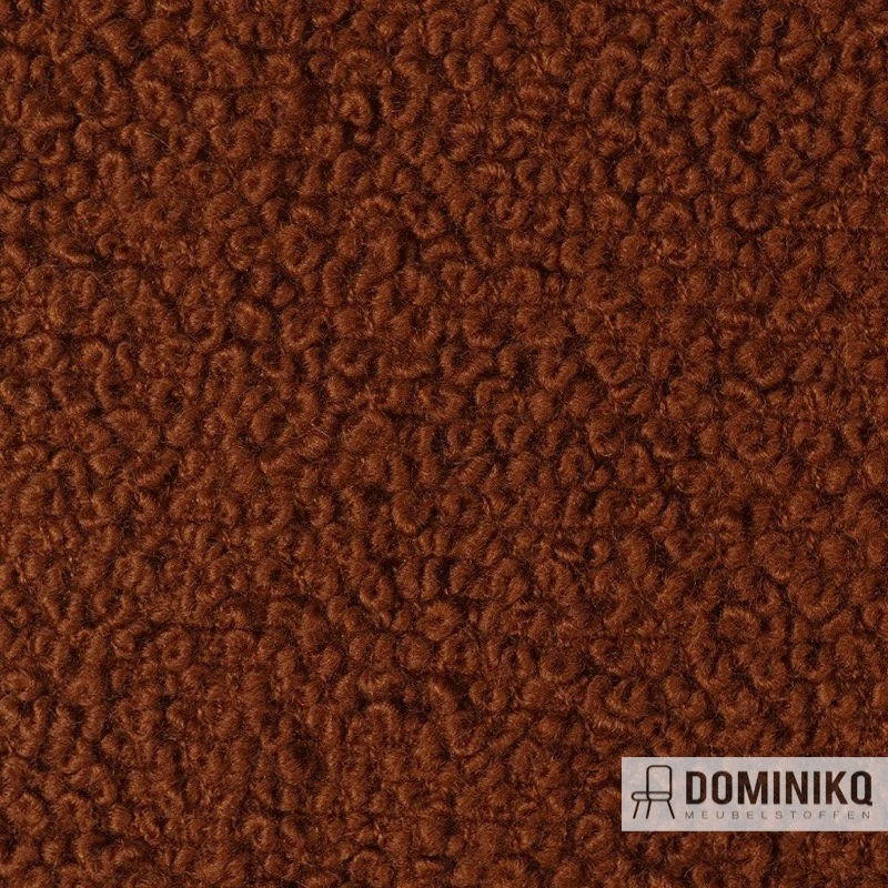 Bute Fabrics - Storr CF774 - 8001 CaraHonig