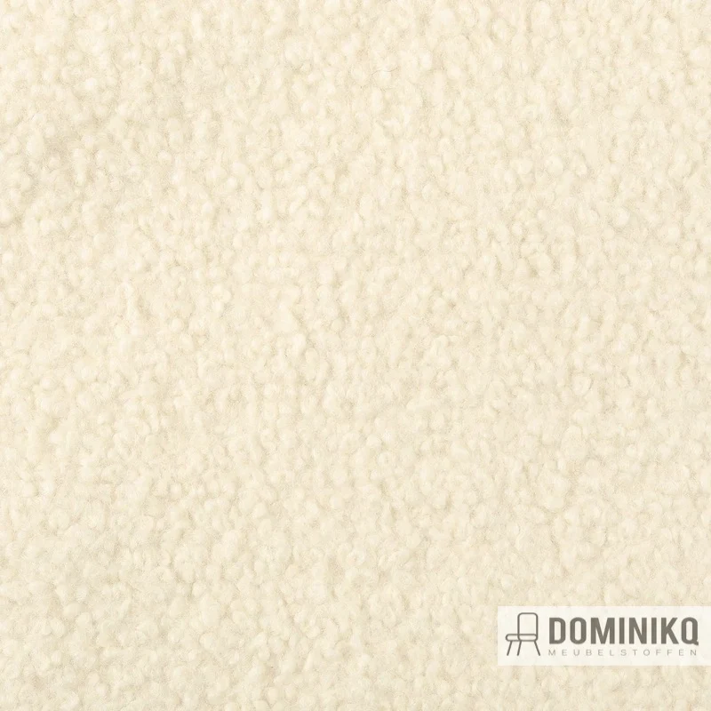 Bute Fabrics - Teddy CF1153 - 0101 Cream