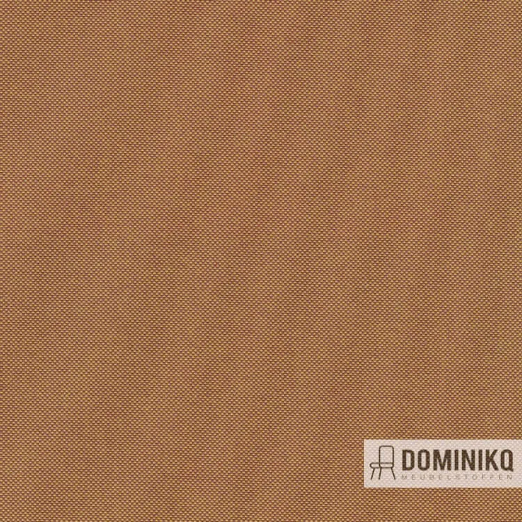 Kvadrat - Field 2 - 443