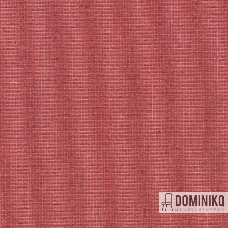 Kvadrat - Floyd -663