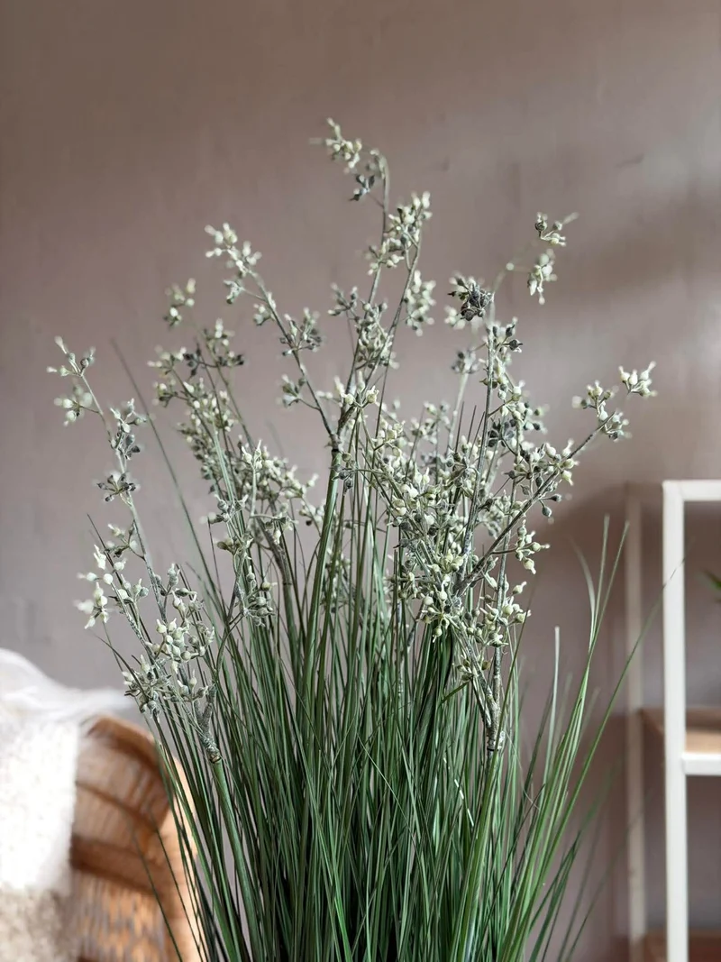 Jasmin im Topf für drinnen und draußen - 78 cm