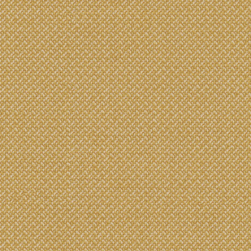 Rohi - Cleo - 02054.18 Gold