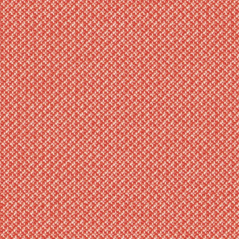 Rohi - Cleo - 02054.20 Passion