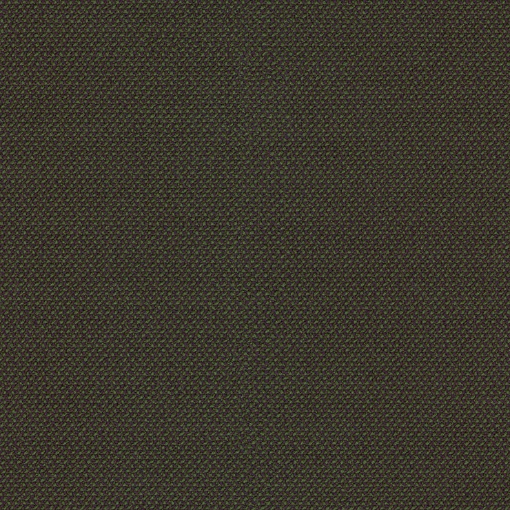 Rohi - Credo -01727.91 Forest