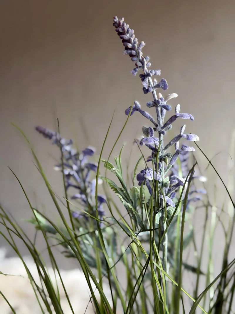 Lavendel im Strauß für drinnen und draußen - 70 cm