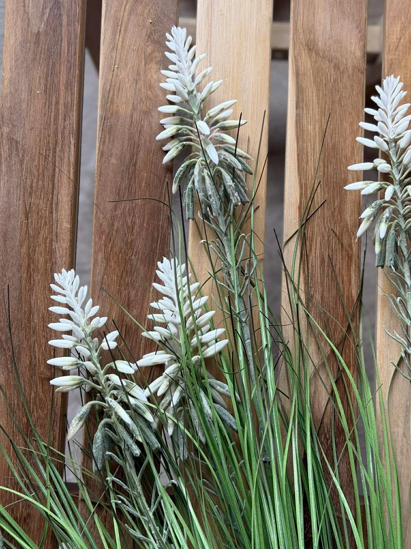 Weiße Lupine im Strauß für innen und außen - 70 cm