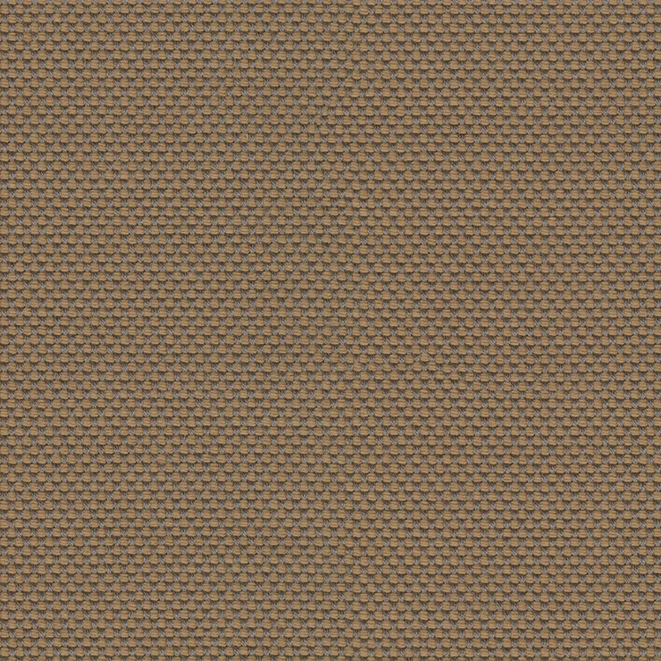 Rohi - Novum - 01700.37 Paradise