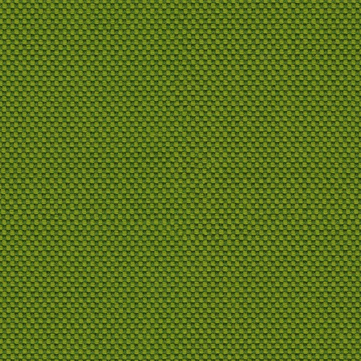 Rohi - Novum -01700.45 Moss