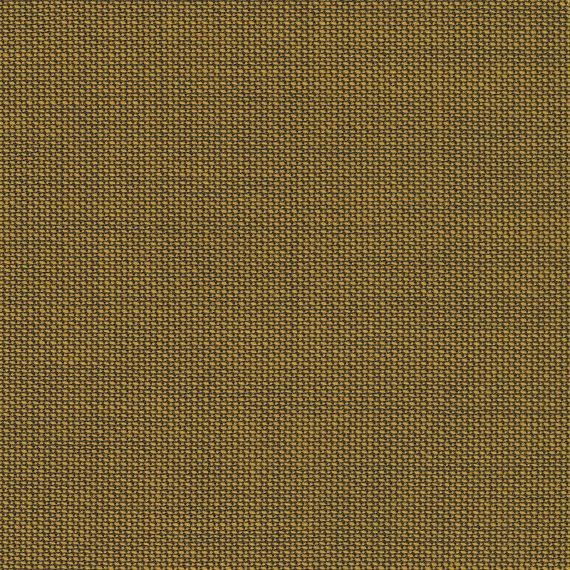 Rohi - Topia - 01735.18 gold