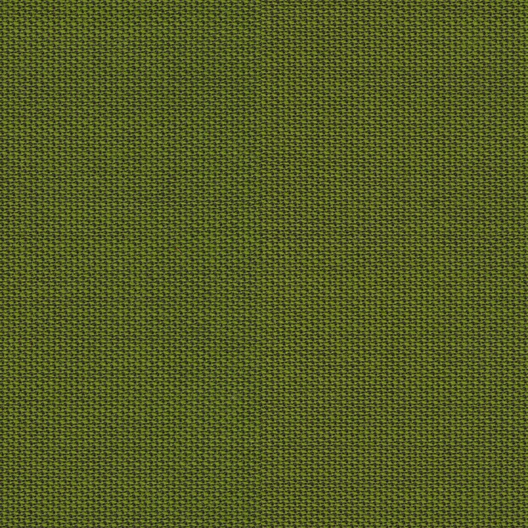 Rohi - Topia - 01735.33 Palm