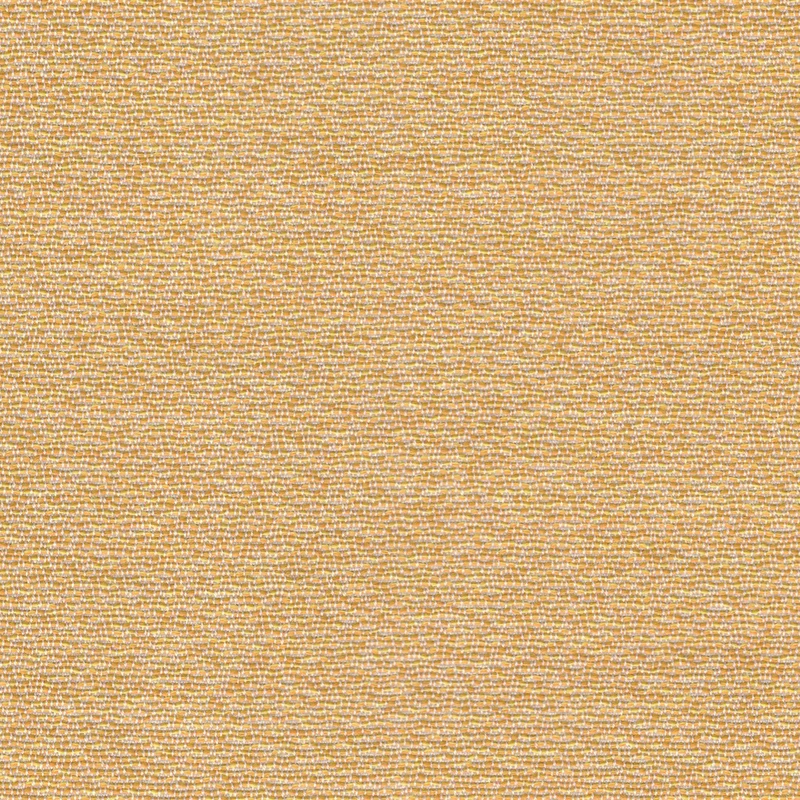 Rohi - Shake - 01850.48 Sol