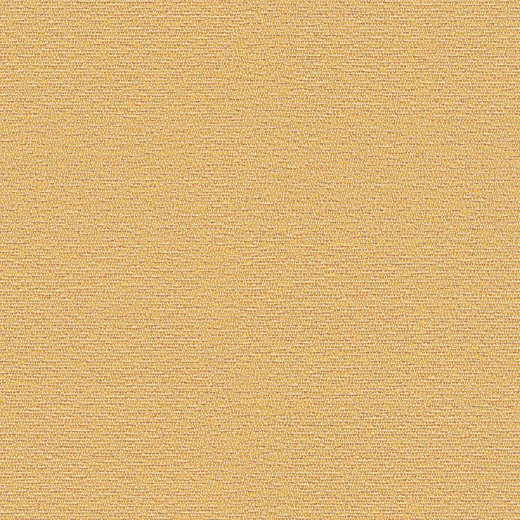 Rohi - Shake - 01850.48 Sol
