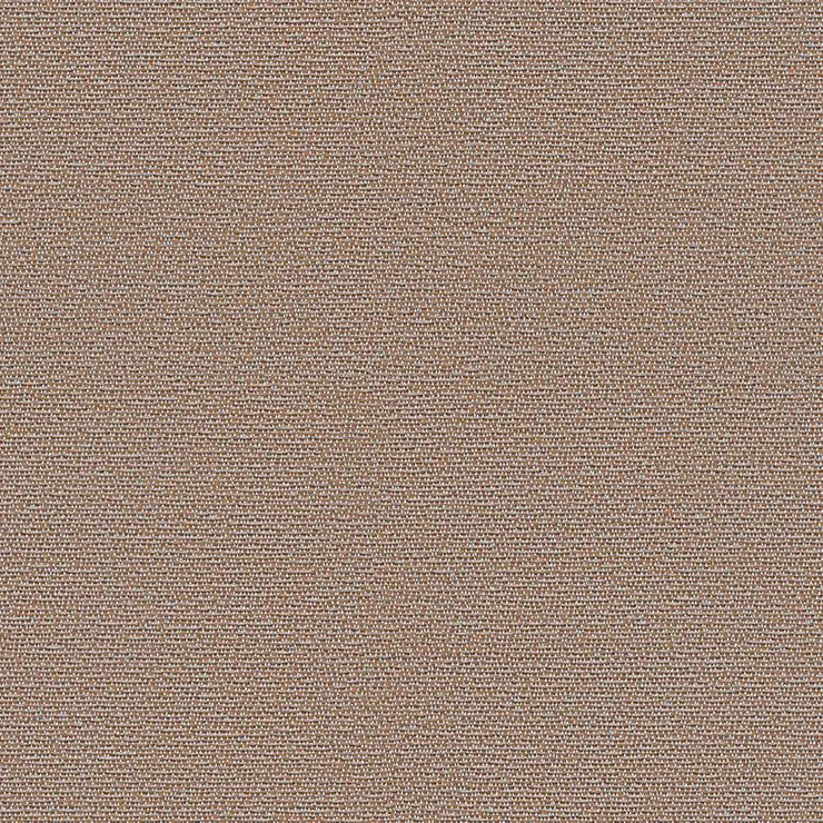 Rohi - Shake - 01850.51 Earth