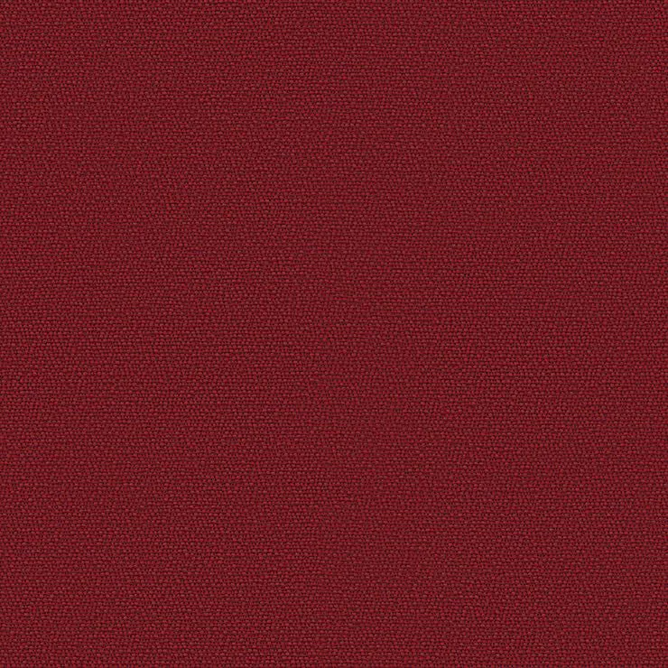 Rohi - Shake - 01850.60 Kirsche