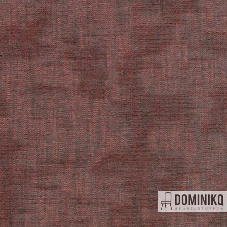 Kvadrat - Maple - 562
