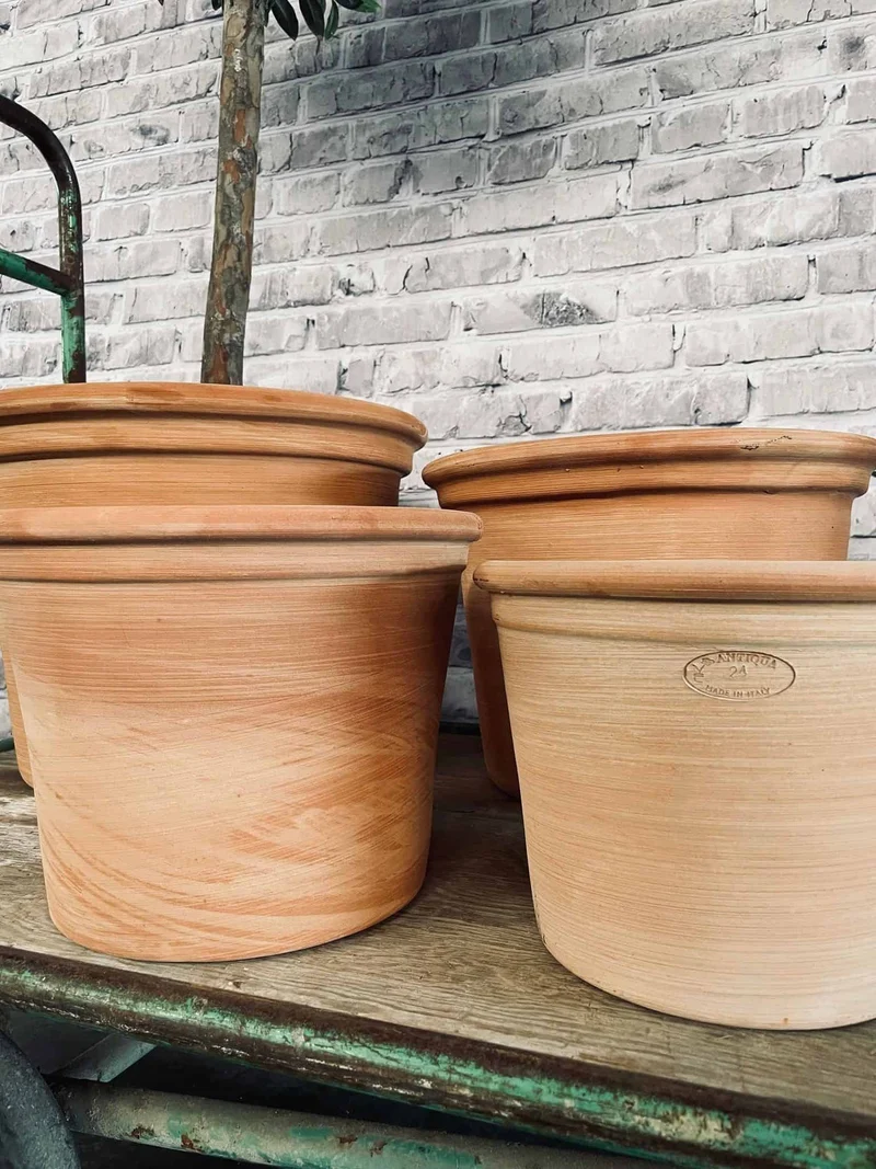 Terracotta-Set aus 4 Töpfen - ABHOL-ANGEBOT