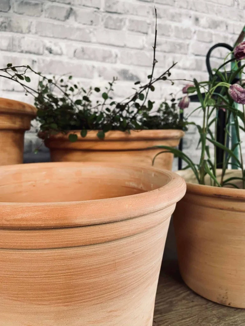 Terracotta-Set aus 4 Töpfen - ABHOL-ANGEBOT