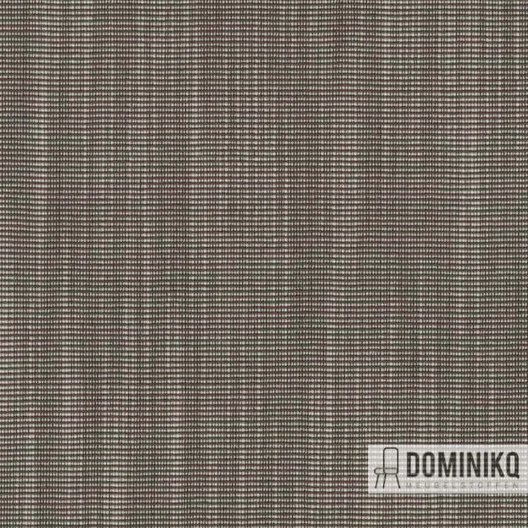 Kvadrat - Raas - 242