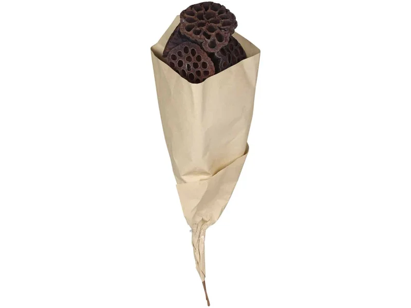 Ewigkeitsstrauß Lotus
