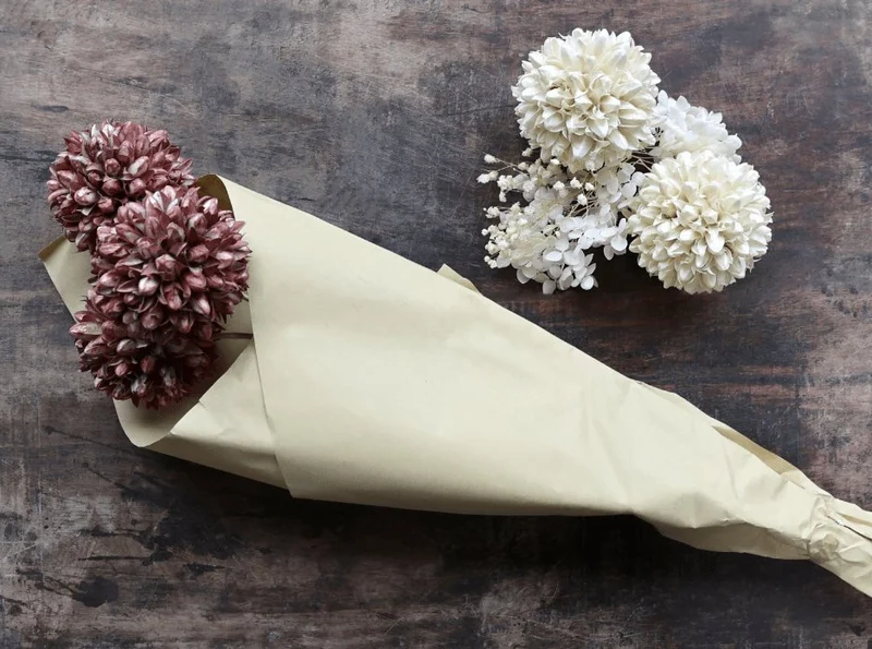 Ewigkeitsblumen – Schneebälle pflaumenfarben