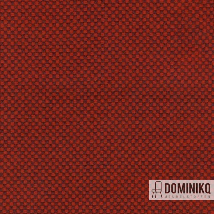 Kvadrat - Sisu - 655
