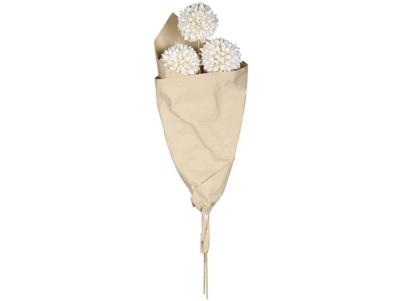 Ewigkeitsblumen - Weiße Schneebälle