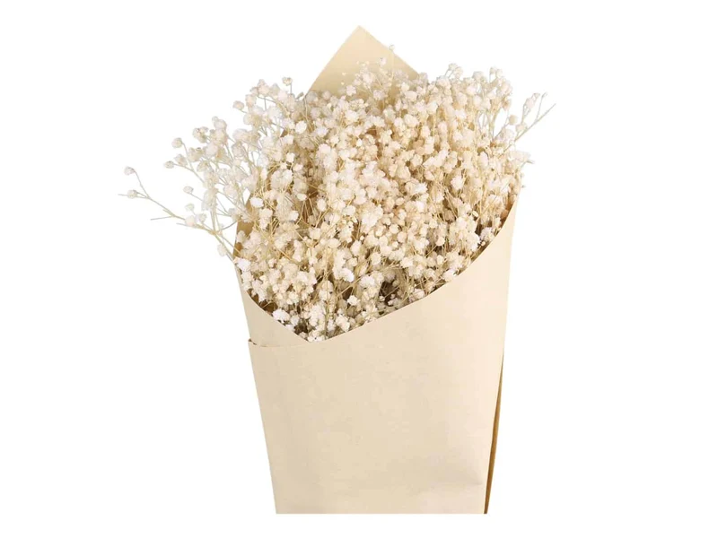 Ewigkeitsstrauß - getrocknetes Schleierkraut