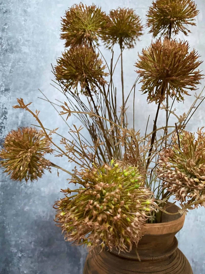 Ewigblume – Stiel 60 cm Pom
