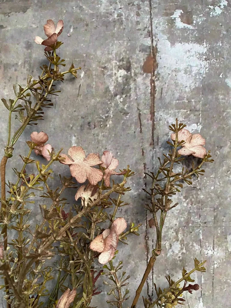 Ewigkeitsblume – Stiel 60 cm Rosa