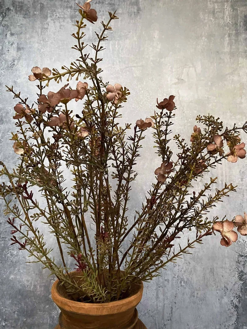 Ewigkeitsblume – Stiel 60 cm Rosa