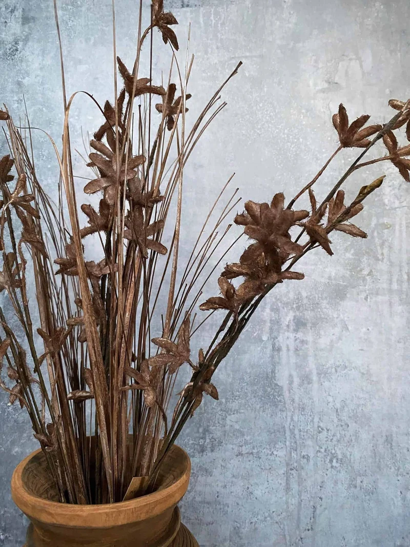 Evighedsblomst – Stiel 60cm Braun