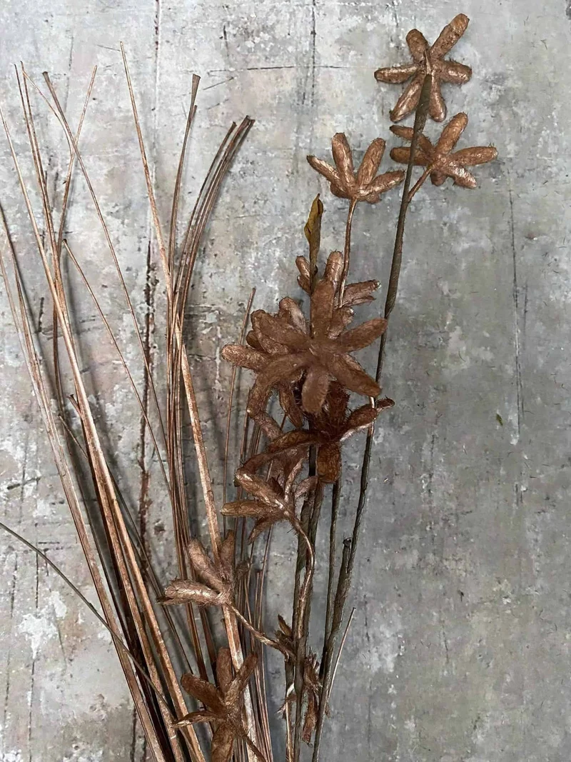 Evighedsblomst – Stiel 60cm Braun