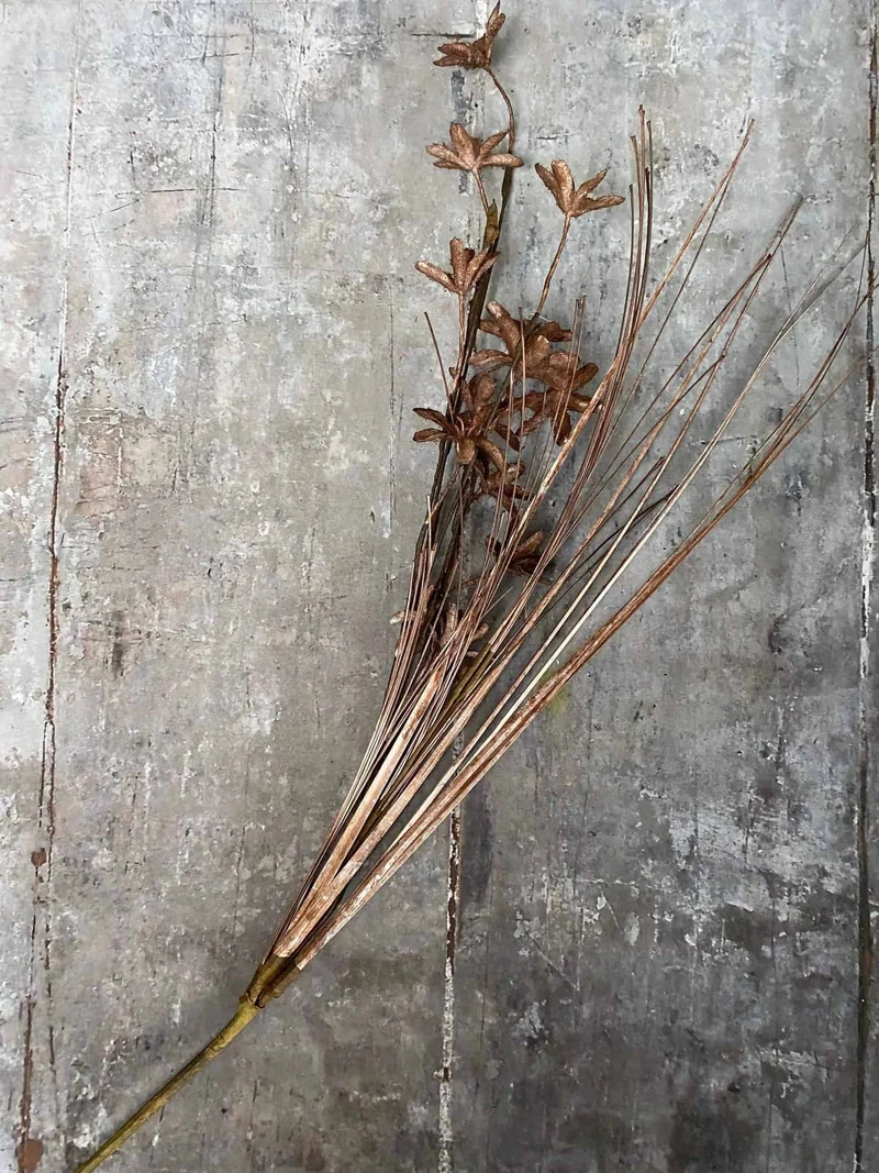 Evighedsblomst – Stiel 60cm Braun