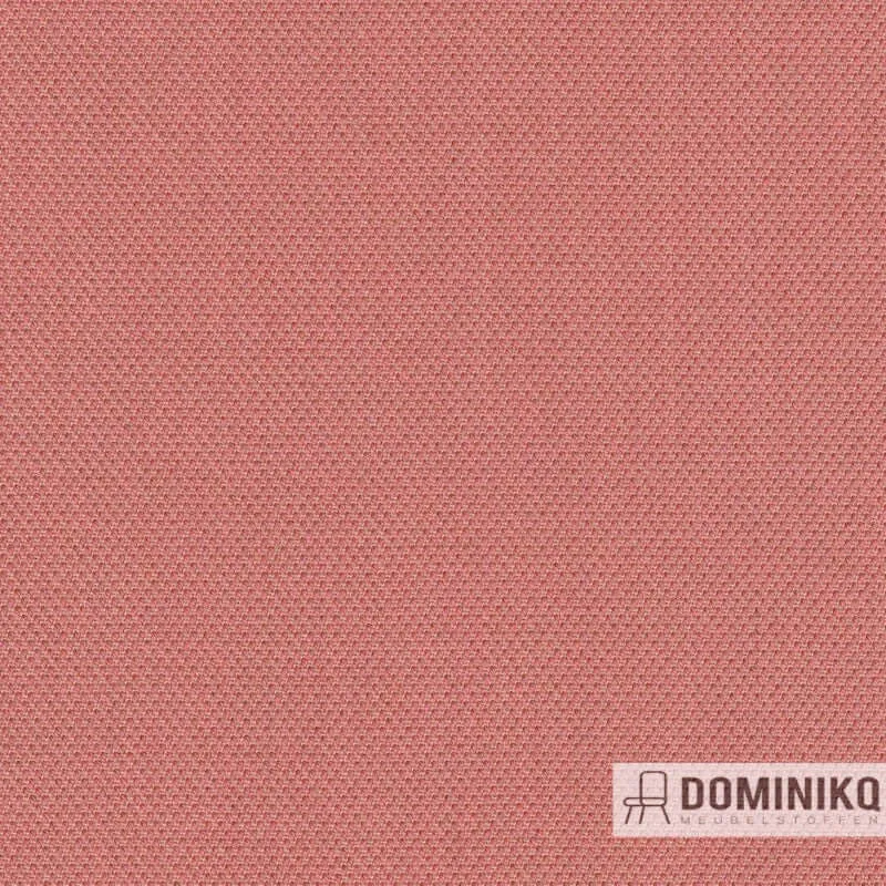 Kvadrat - Steelcut Quartet -534