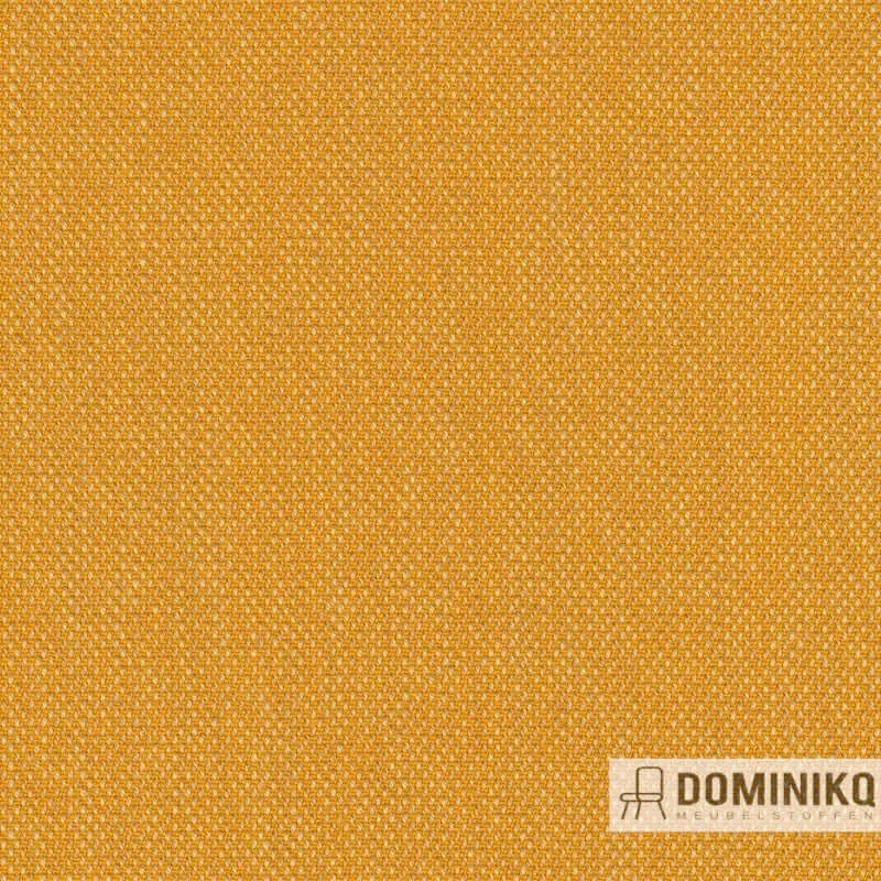 Kvadrat - Steelcut Quartet -434