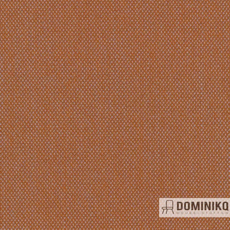 Kvadrat - Steelcut Quartet -544